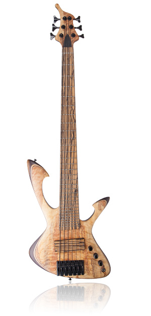 Custom E-Bass Aphrodite 6-String