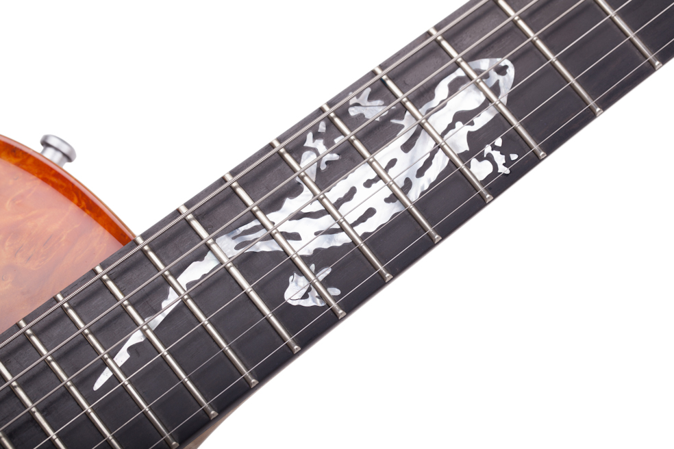 Custom E-Gitarre Guitar Zeus Fire Salamander